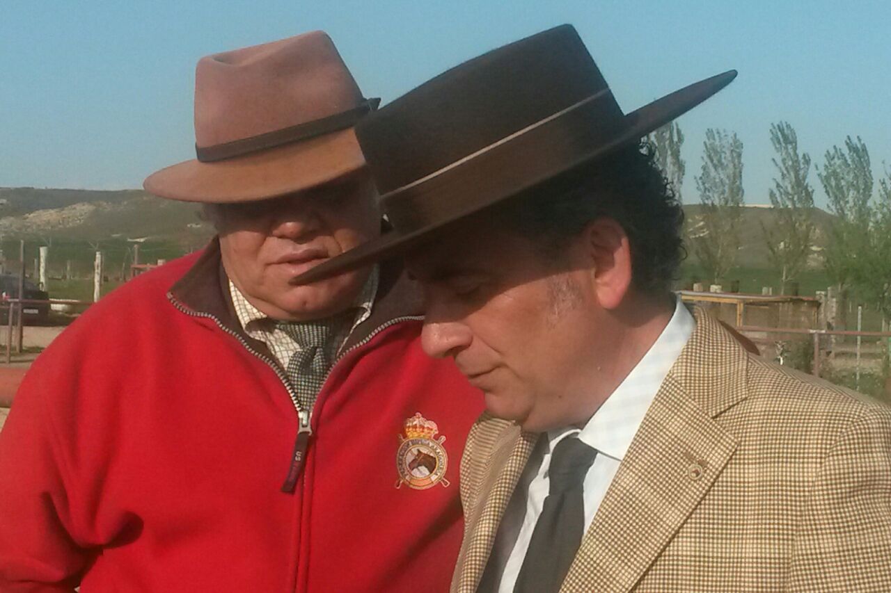 Resultados del Campeonato Navarro de Doma Clásica, Doma Adaptada y Doma Vaquera